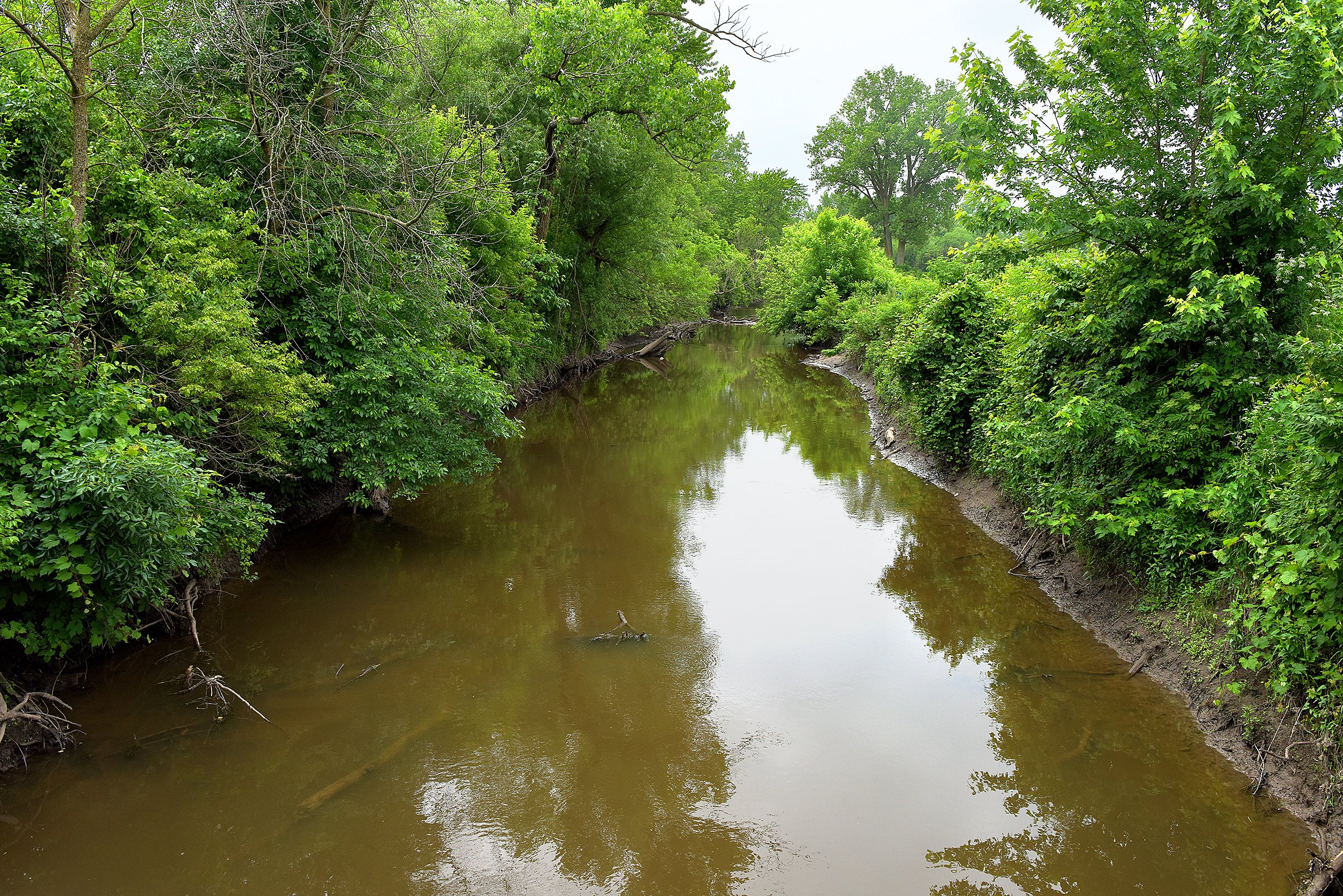 Pond on a farm in Lake County, Indiana - LAND AUCTION - 147+/- ACRES OFFERED IN 3 TRACTS IN LAKE COUNTY, INDIANA